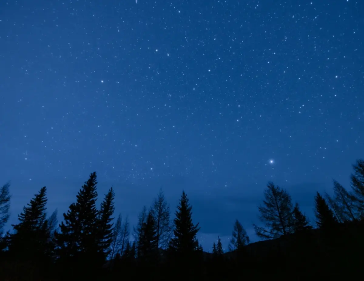 Night sky full of stars over Mountain Springs